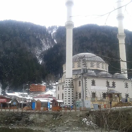 Hotel Grand Anadolu Hotel & Bungalow Uzungol