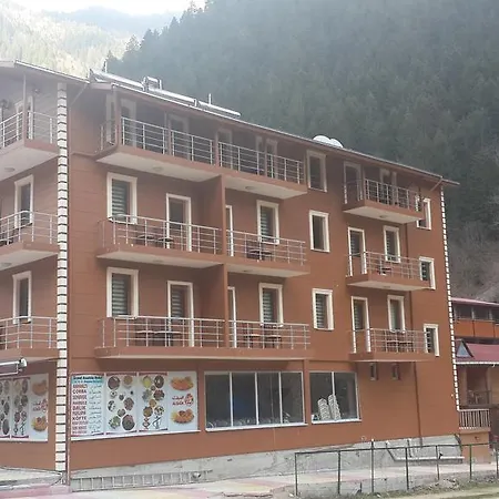 Grand Anadolu Hotel & Bungalow * Uzungol